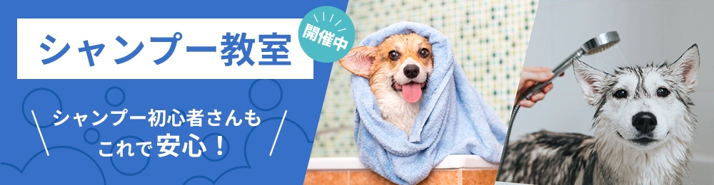 シャンプー教室